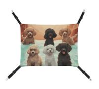 Summer Poodles Dogs Printed Pet Hammock for Cage Hanging Pet Hammock Bed with Metal Hooks for Guinea Pigs, Hamsters, Gerbils, Kittens, Cat Cages