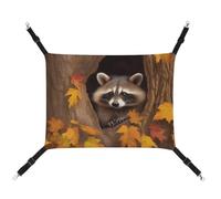 Summer Raccoon in The Fall Tree Hole Printed Pet Hammock for Cage Hanging Pet Hammock Bed with Metal Hooks for Guinea Pigs, Hamsters, Gerbils, Kittens, Cat Cages