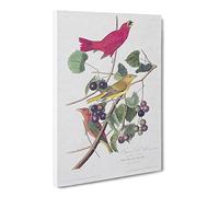 Summer Red Birds By John James Audubon Canvas Print | Gallery Wrapped 30mm Frame Wall Art | 30x20 inches | Ready to Hang | Retro Landscape Picture | Living Room Bedroom Lounge Office
