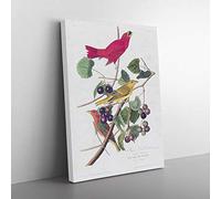 Summer Red Birds By John James Audubon Vintage Canvas Wall Art Print Ready to Hang, Framed Picture for Living Room Bedroom Home Office Décor, 60x40 cm (24x16 Inch)