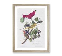 Summer Red Birds By John James Audubon Vintage Framed Wall Art Print, Ready to Hang Picture for Living Room Bedroom Home Office Décor, Oak A4 (34 x 25 cm)