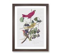 Summer Red Birds By John James Audubon Vintage Framed Wall Art Print, Ready to Hang Picture for Living Room Bedroom Home Office Décor, Walnut A2 (64 x 46 cm)