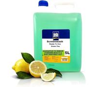 Summer Screenwash, Ready to Use, 5L, Bug Remover and Rain Repellent, Car Windscreen Washer Fluid, Green Tea Scent