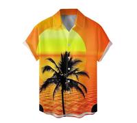 Summer Shirts for Men,Mens Summer Fashion Digital 3D Printed Short Sleeved Lapel Button Down Shirt Top