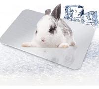 Summer Small Animals Cooling Plate Pet House-Cool Plate Aluminum Cooling Mat for Rabbit Hamster,10 * 6cm Clever