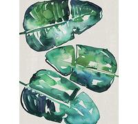 Summer Thornton "Banana Leaves" Canvas Print, Cotton, Multi-Colour, 3.20 x 40.00 x 50.00 cm