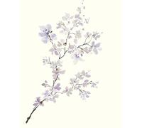 Summer Thornton "Gentle Breeze II Canvas Print, Multi-Colour, 40 x 50 cm