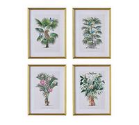 Summer Thornton Wild Palms Set of 4 Framed Prints