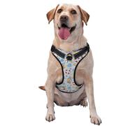 Summer Time with Gnome Pattern Dog Harness - Lightweight,Soft,Adjustable Small Harness and Leash Set, Suitable for Puppy Small and Medium-Sized Dog-Large