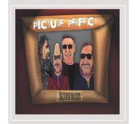 Summertime Blues Band - Picture Perfect