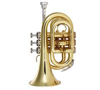 summina Trumpet Pocket Bb Flat Brass Wind Instrument with Gloves Mouthpiece Cleaning Bag