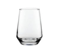 Summit Tumbler 14oz (Pack of 6) R210116-B06024
