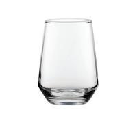 Summit Tumbler 14oz (Pack of 6) R210116-B06024