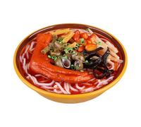 SUMMITDRAGON Realistic PVC Noodles Model Artistic Noodles Bowl Replicas Great For Teaching Demonstration And Property Teaching Demonstration