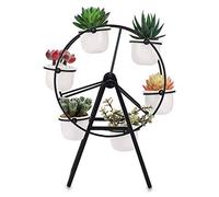 SUMNACON Ferris Wheel Succulent Planter Plant Stand Ceramic Plant Pot Display Holder Mini Flower Stand with Pot,Black( Not include plant)