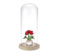 SUMNACON Glass Display Cloche Dome with Solid Wooden Base, 10*25cm