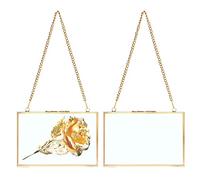 SUMNACON Set of 2 Golden Glass Hanging Picture Frame Artwork Display Frame, Wall Mounted Hanging Photo Display Frame with Chain, Decorative Hanging Frame for Picture, Artwork (Horizontal, 4 * 6 inch)