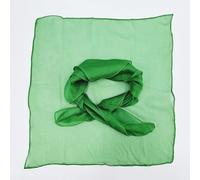 sumrica 6 PCS 100% Mulberry Silk Magic Scarves Set 45 CM/17.72'',Ultra-Thin Professional Magician Handkerchiefs, 6 Colors Available. Professional Magic Accessories (Green)
