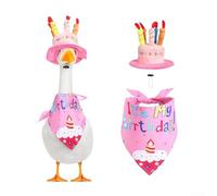 Sumsoctober Vibrant Porch Goose Decoration Outfit Complete Birthday Set for Outdoor Garden Fun (pink)