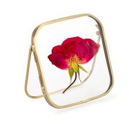 SUMTree Round-edged Gold Glass Photo Frame, 4x4 inch (10.2x10.2cm) Glass Picture Frame, Desktop Tabletop Picture Display Frame, Pressed Flower Frame, Standing Gold Mini Photo Frame