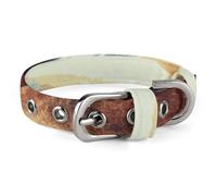 Sun and Earth Dog Collar Adjustable Martingale Pet Collar Female Male Cute Cat Collars No Pull Dog Choker Collars for Small Medium Large Pet