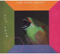 Sun Araw - The Inner Treaty