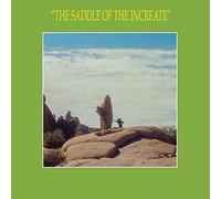 Sun Araw - The Saddle of the Increate