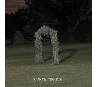 Sun Araw "Trio" XI - Gazebo Effect [VINYL]