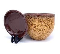 Sun Cakes Ceramic Plant Pot Glazed with Saucer Round Terracotta with Drip Tray Flower Pot Clay Coloured Flower Pot Sea Foam (12cm x 10cm, Orange)