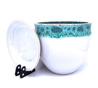 Sun Cakes Ceramic Plant Pot Glazed with Saucer Round Terracotta with Drip Tray Flower Pot Clay Coloured Flower Pot Bella (14cm x 12cm, White/Green)