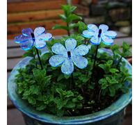 Sun Catcher Garden Decor Glowing Daisy Set of 3 Decorative Garden Stakes 25cm, 10 inch high Outdoor Yard Bouquet Lovely Gardeners Gift, Colour:fluorescent Blue