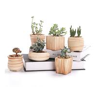 SUN-E 6 In Set 7.6 cm Ceramic Wooden Pattern Succulent Plant Pot Cactus Plant Pot Flower Pot Container Planter Gift Idea