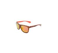 Sun glasses unisex Polaroid brown