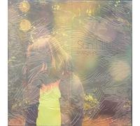 Sun Glitters - Everything Could Be Fine [VINYL]