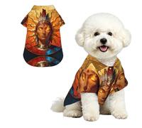 Sun God Rays S Pet Hawaiian Shirt for Small Dogs-Cute Summer Beach Outfit for Puppy, Soft Breathable Cat Clothes with Buttons