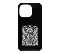 Sun Goddess Crane Light Takes Wing Mystic Fantasy Case for iPhone 13 Pro