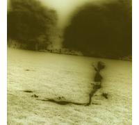 Sun Kil Moon - Third and Seneca (Gold Vinyl) [VINYL]