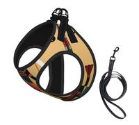 Sun Old Egyptian Timeless Grace print Dog Harness and Leash Set, Reflective Adjustable Puppy Vest for Small Medium Large Dogs, Cats