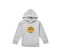 Sun Records Jerry Lee Lewis Great Balls Of Fire Youth Kids Pull-Over Hoodie, Athletic Heather in Grey | Size: 7-8 Years Sun Records Grey 7-8 Years