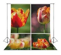 Sun Shining on Flowers Backdrop Background for Photography High Density Polyester Fabric Background Banner Seamless Photo Booth Prop Backdrop 56"x79" for Birthday Party Decor Photoshoot Banner Props