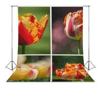 Sun Shining on Flowers Backdrop Background for Photography High Density Polyester Fabric Background Banner Seamless Photo Booth Prop Backdrop 56"x98" for Birthday Party Decor Photoshoot Banner Props