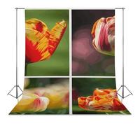 Sun Shining on Flowers Backdrop Background for Photography High Density Polyester Fabric Background Banner Seamless Photo Booth Prop Backdrop 56"x118" for Birthday Party Decor Photoshoot Banner Props