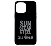 Sun Steak Steel Cold Plunge Gym Discipline Case for iPhone 13 Pro Max