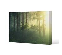 sun, trees in a haze of light, glowing fog among the trees (Canvas Print) / 127 x 101 x 4cm Benjamin Tate Design Natural One Size
