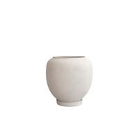 Sunao Potted Plant Large Birch