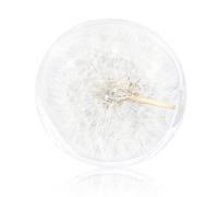SunaOmni Crystal Ball Dandelion Paperweight Dreamball Unique Resin Paperweight Gifts for Children Friends Dandelion Paperweight Ball Glass Paperweight Crystal Prop Home Decor