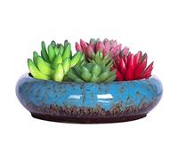 SunaOmni Large Bonsai Pot, Indoor/Outdoor, Green, Ceramic, Modern, Tabletop, Drainage Hole, Plant Pot