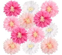 SUNBEAUTY Paper Flowers Decorations Pink White Daisy Paper Pom Poms 14‘’ Large Tissue Flowers Hanging Spring Summer Pink Fans Garden Party Decorations for Wedding Tea Party Backdrop Baby Shower Decor