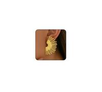 sunburst gold earrings for women large gold formal earrings large silver earrings chunky gold earrings geometric fan shape earrings irregular sun earrings gold silver earrings, Promedio, Alloy Steel