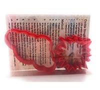 Suncloud Sun and Cloud Cookie Cutter Set of 2, Biscuit, Pastry, Fondant Clay Cutter